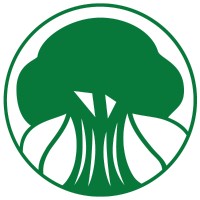 Banyan Tree Strategies