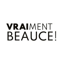 VRAIment Beauce logo - Similar company to Les Constructions Ldm