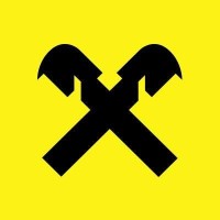 Raiffeisen Capital Management logo - Similar company to Stella Software