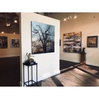 Thornwood Gallery logo - Similar company to Barbara Davis Gallery