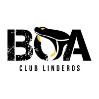 BOA Spa logo - Similar company to Ahmad Chile