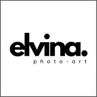 Elvina PhotoArt logo - Similar company to Elvina