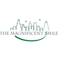 The Magnificent Smile logo - Similar company to Skyline Smiles