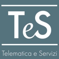 TELEMATICA E SERVIZI SRL logo - Similar company to Nwall