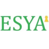 Esya Capital Private Limited logo - Similar company to Deeesha Finance