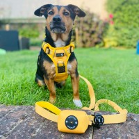 Woofles Ltd logo - Similar company to Ezydog Uk