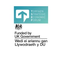 Torfaen Strategic Economic Forum logo - Similar company to Springhub