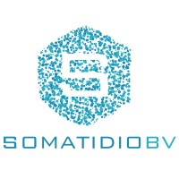 Somatidio Bv