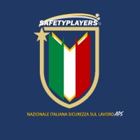 Nazionale Italiana Sicurezza sul Lavoro logo - Similar company to Gruppo Remark