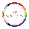 Nochara logo - Similar company to Adgb Solutions