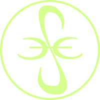 Capitol City Speech Therapy, PLLC logo - Similar company to Coastal Speech Therapy Inc