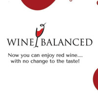Wine Balanced logo - Similar company to Palpakusa
