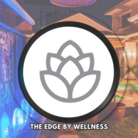THE EDGE BY WELLNESS ABUJA logo - Similar company to Access Digital Lab Abuja