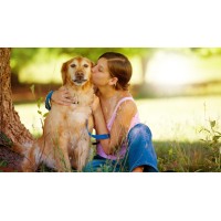 Dallas Highway Animal Hospital