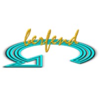 Berfend International Management Consultant logo - Similar company to Esg Consultant - Investment Management