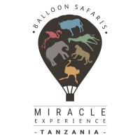 Miracle Experience Balloon Safaris logo - Similar company to Gadgetronix.Net Ltd