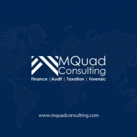 MQuad Consulting logo - Similar company to Spe Energy Solutions Ltd