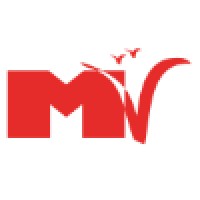 Media Volery Llc