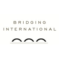 Bridging International Asia Co.,Ltd logo - Similar company to Adaptive Seo