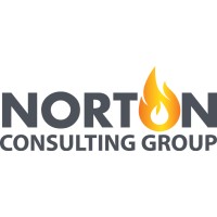 Norton Consulting Group logo - Similar company to Nacds Foundation