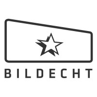 BILDECHT logo - Similar company to Turtle Knight Games