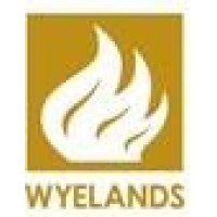 Wyelands Capital Limited logo - Similar company to Max Energy
