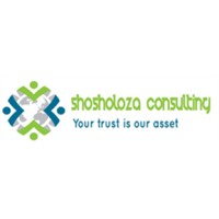 Shosholoza Consulting logo - Similar company to Decer
