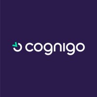 Cognigo (Acquired by NetApp) logo - Similar company to Naboo