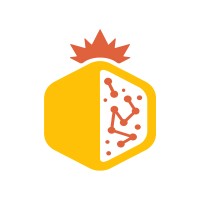 ناربن وب | NarbonWeb logo - Similar company to Ariawp