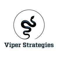 Viper Strategies logo - Similar company to Builder Designs