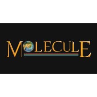 Molecule Communications (P) Ltd logo - Similar company to Esg Research Foundation