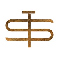 Touchstone Detox logo - Similar company to Adam Musa Technical Services
