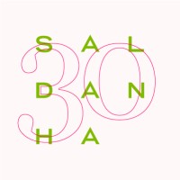 Saldanha Inc. logo - Similar company to Vredenburg Panelenbouw