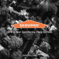 SERVPRO of Stamford logo - Similar company to Pulsepoint Media