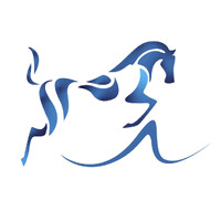 PEGASUS EQUIPE logo - Similar company to Ddv Business Management