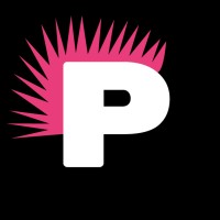 Punk Development Studio logo - Similar company to Magicflow Uk