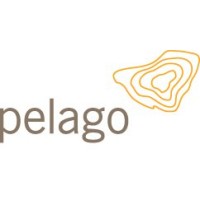 Pelago logo - Similar company to Docuproducts