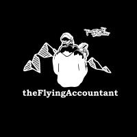 theFlyingAccountant logo - Similar company to Guard From Above