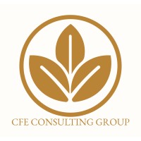 CFE Consulting Group logo - Similar company to Greenflow Systems