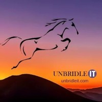 Unbridle It logo - Similar company to Unbridled Pathways