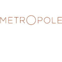 Metropole Search Partners Limited logo - Similar company to Ergo Ltd