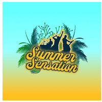 Stichting Summer Sensation logo - Similar company to Dwars Tilburg