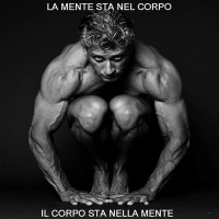 Preparatore Fisico/Atletico - Personal Trainer logo - Similar company to 4D Rendimiento Físico Y Deportivo