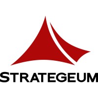 STRATEGEUM logo - Similar company to Cure Ing.
