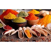 Spices Export Worldwide logo - Similar company to Krups Ceramic