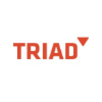 TRIAD China logo - Similar company to Netk5 - Your It Team