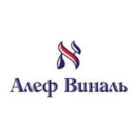 Alef Vinal logo - Similar company to Moldauditing