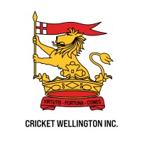 Cricket Wellington Inc logo - Similar company to Northern Districts Cricket Association