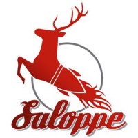Saloppe Dresden logo - Similar company to Social Web Macht Schule Ggmbh