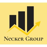Necker Asset Management logo - Similar company to Quantive Alpha